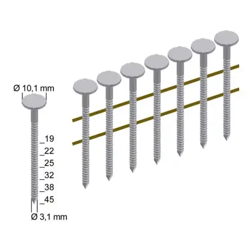 Clous à feutre pour toiture Prebena CNZ31/19VZRI galvanisés par immersion à chaud